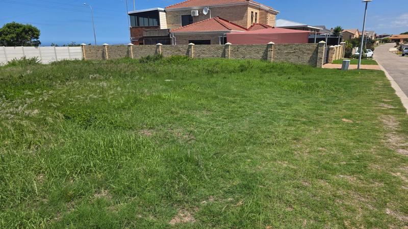 0 Bedroom Property for Sale in Reebok Western Cape